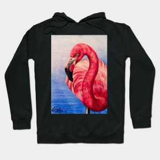 Flamingo Hoodie